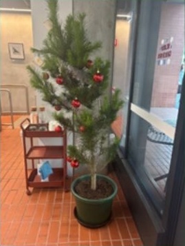 A decorated Holly & Berry Christmas tree at Brew & Bento